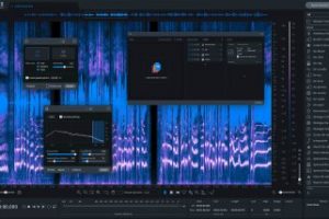 iZotope RX 9 Audio Editor Advanced v9.0.0 macOS
