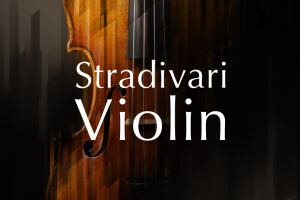 Native Instruments Stradivari Violin v1.2.0 KONTAKT