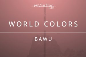 中国巴乌 Evolution Series World Colors Bawu KONTAKT
