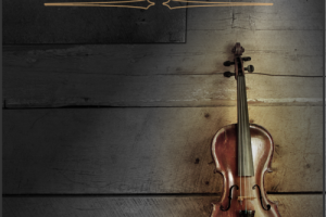 小提琴 – Indiginus The Fiddle KONTAKT-DECiBEL