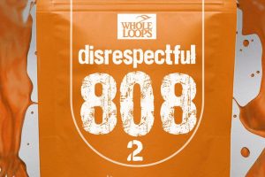 Whole Loops Disrespectful 808 vol 2 KONTAKT
