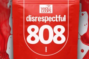 Whole Loops Disrespectful 808 vol 1 KONTAKT