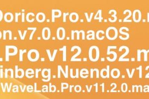 Cubase/Nuendo/WaveLab/HALion/Dorico PACK   WIN&MAC 2023.3.3